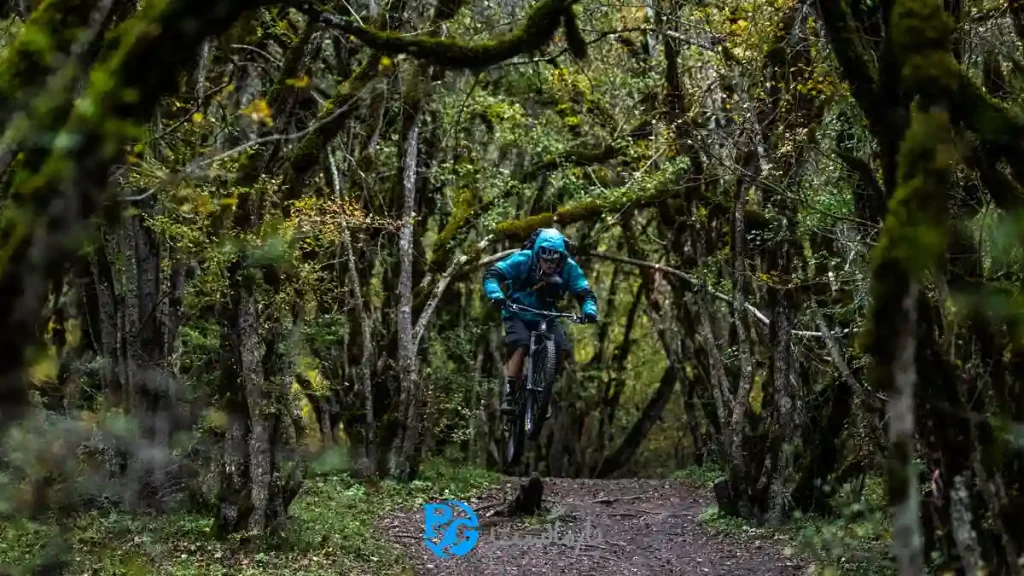 دوچرخه سواری در جنگل الیمستان با پارماگشت