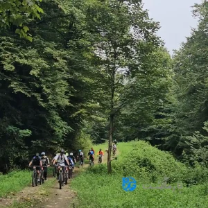 جنگلهای زیراب با پارماگشت