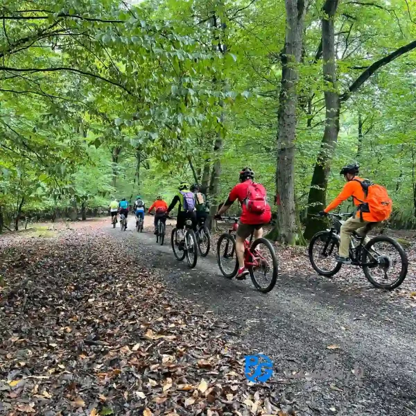 jamshidabad دوچرخه سواری در جنگل جمشیدآباد هیرکانی با پارماگشت