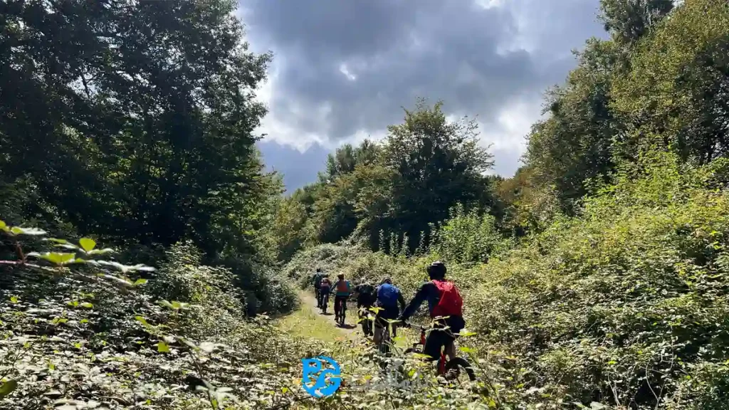 تور دوچرخه سواری جنگل سنگدرکا با پارماگشت