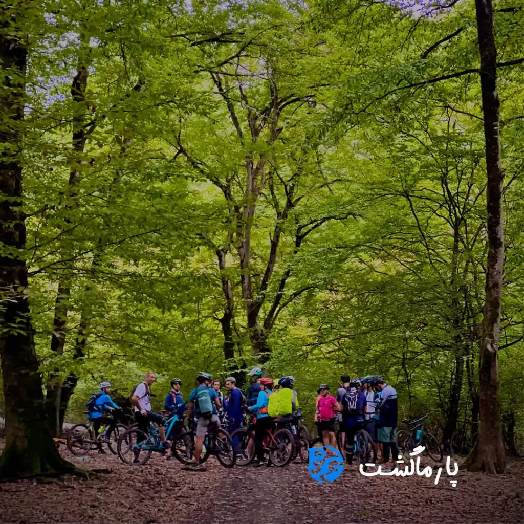 تور دوچرخه سواری جنگل سنگدرکا با پارماگشت