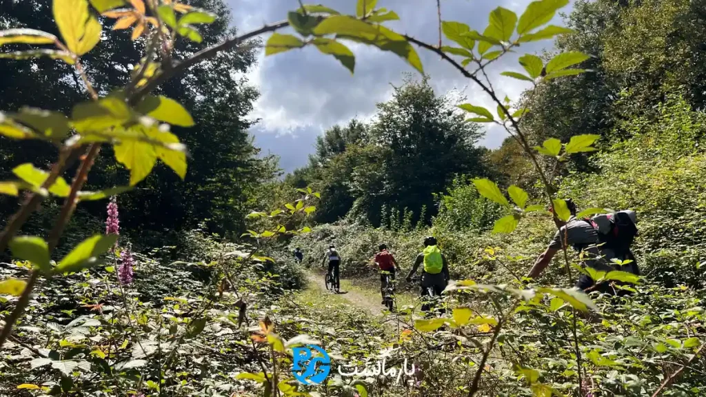 تور دوچرخه سواری جنگل سنگدرکا با پارماگشت