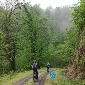 تور دوچرخه سواری جنگل کارمزد