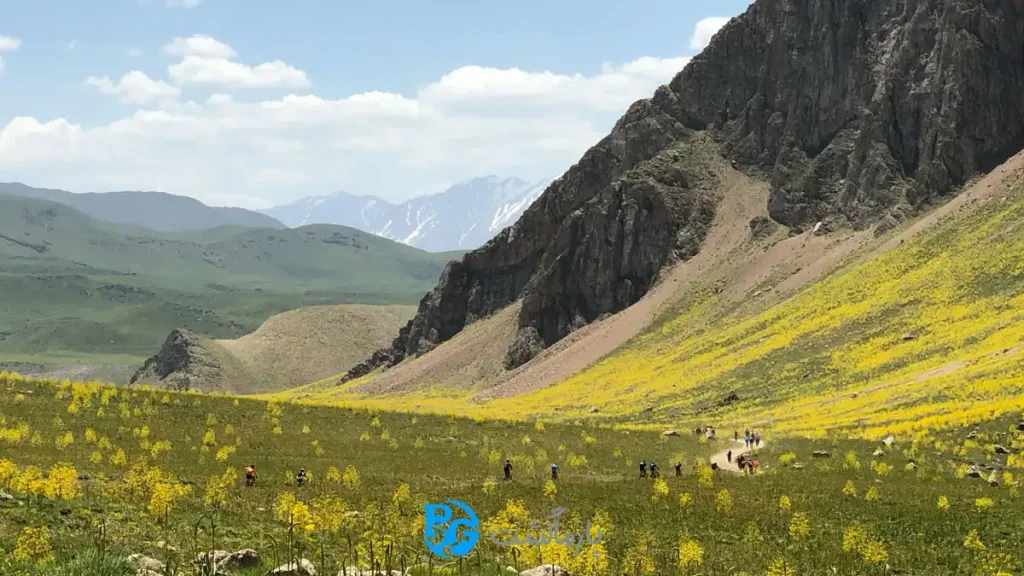 فواید ورزش گروهی