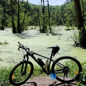 تور دوچرخه سواری مرداب دریوک