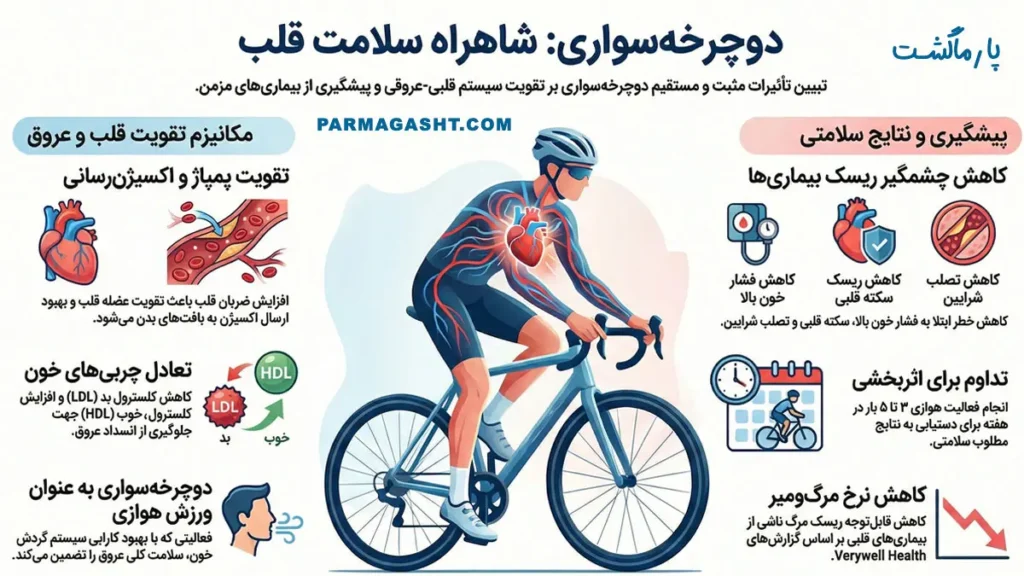 بهبود عملکرد قلب و عروق با دوچرخهسواری