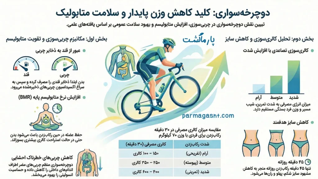 کمک به کنترل وزن و افزایش متابولیسم با دوچرخهسواری