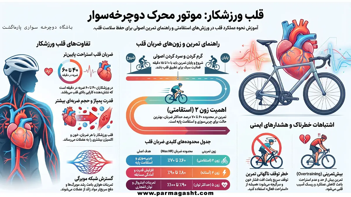 قلب ورزشکار و عملکرد آن در دوچرخه‌سواری